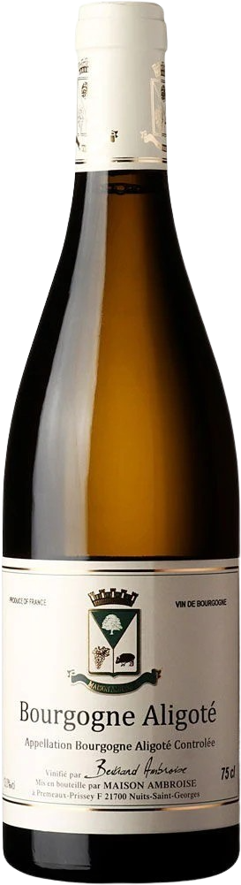 Maison Ambroise, Bourgogne Aligote, 2024 - Bottle Hero