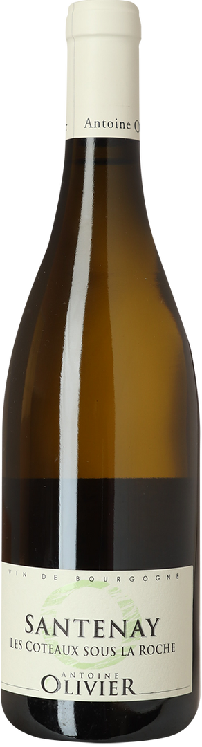2020 Santenay Côteaux sous la Roche, Domaine Antoine Olivier - Bottle Hero