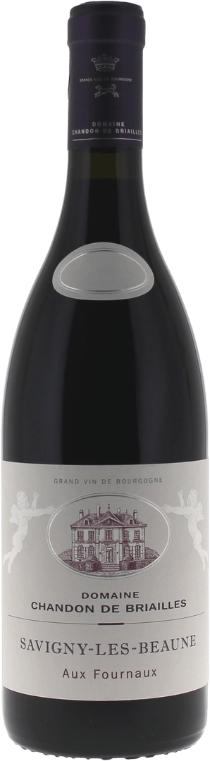 Savigny Les Beaune "aux Fourneaux" Domaine Chandon De Briailles, 2021 - Bottle Hero