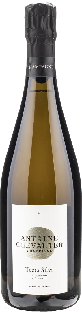 Antoine Chevalier Champagne Blanc de Blancs Tecta Silva 2019 - Bottle Hero