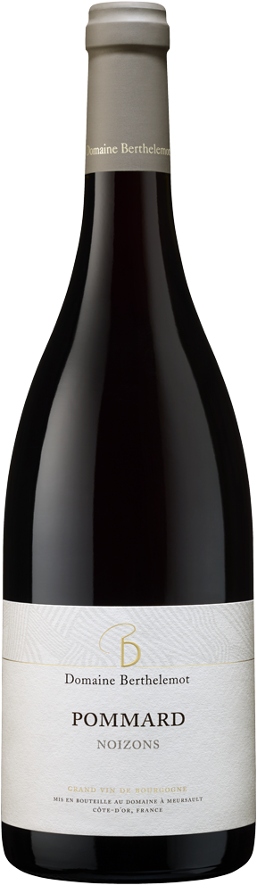Domaine Berthelemot, Pommard Noizons, 2024 - Bottle Hero