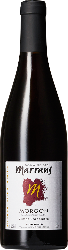 Domaine des Marrans, Morgon Corcelette, 2024 - Bottle Hero