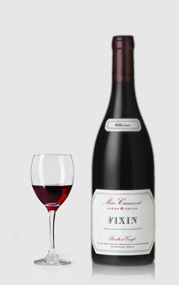 Domaine Méo-Camuzet, Fixin 2020 - Bottle Hero