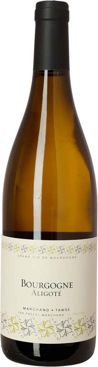 2022 Aligoté, Marchand-Tawse