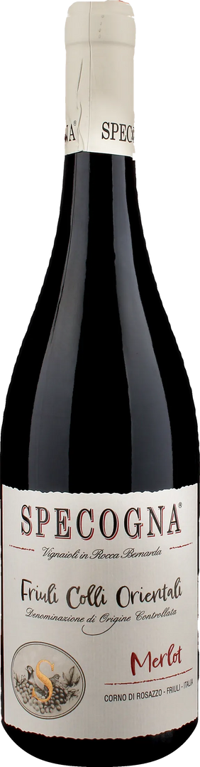 Specogna Merlot 2024 - Bottle Hero