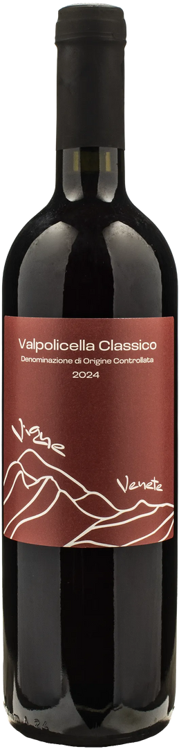 Vigne Venete Valpolicella Classico 2024 - Bottle Hero