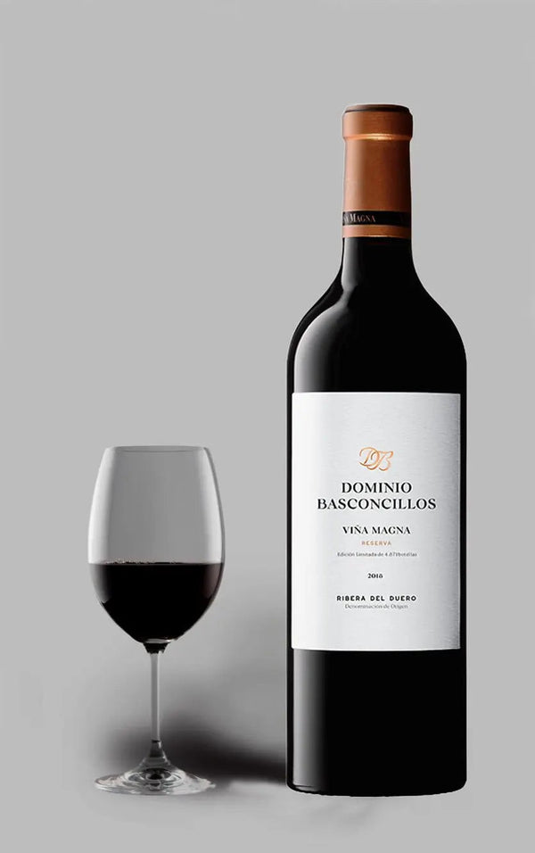 Vina Magna Dominio Basconcillos Reserva 2019 - Bottle Hero